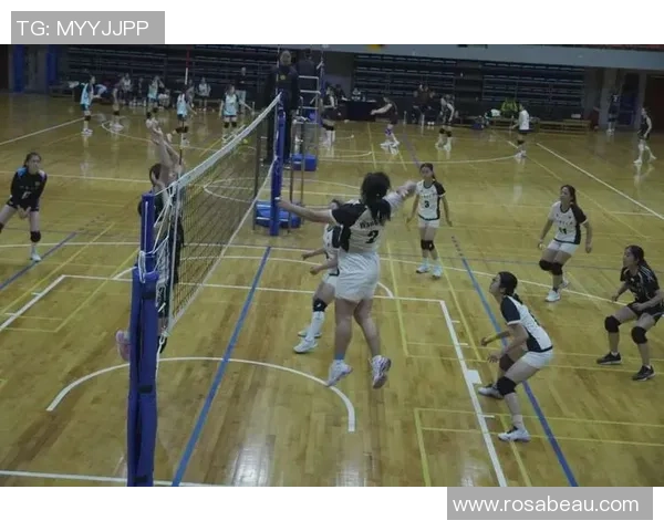 成都排球队团队协作变革引发热议推动排球运动新发展